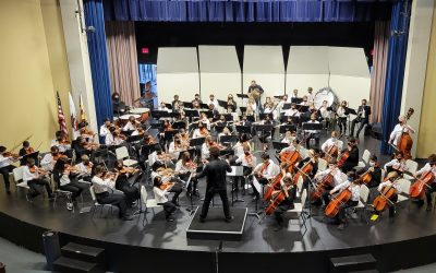 Charity Spotlight – The Santa Rosa Symphony Institute